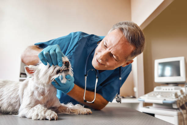 Best Emergency Tooth Extraction in Abilene, KS